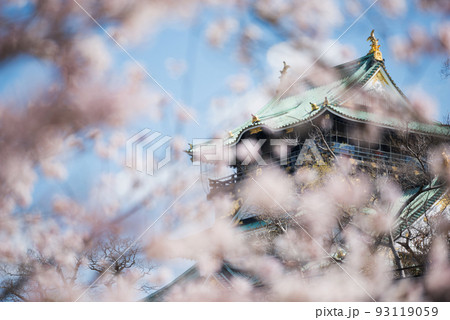 春の大阪城公園 春の大阪城公園 93119059