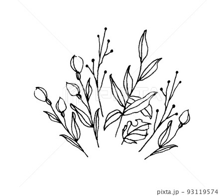 草花の挿絵 93119574