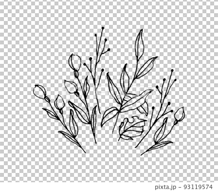 草花の挿絵 93119574