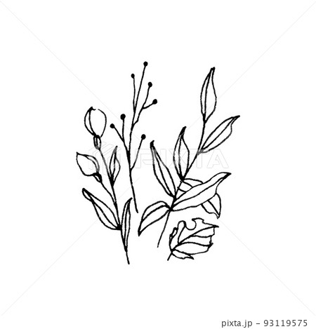 草花の挿絵 草花の挿絵 93119575