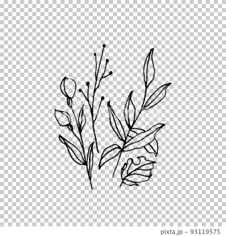 flower illustration 93119575