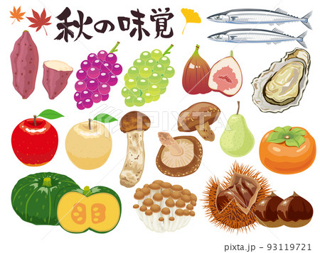 秋の味覚セット 93119721