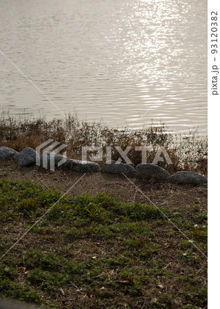 春の万代池公園 93120382