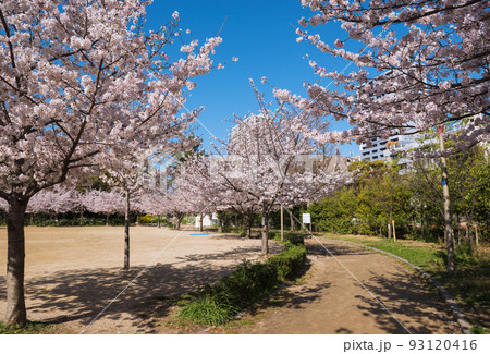 春の靱公園 93120416