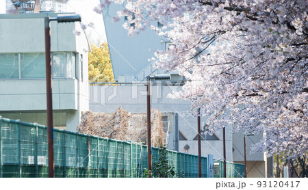 春の靱公園 93120417