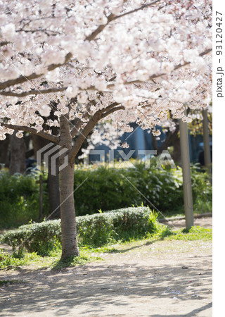 春の靱公園 93120427