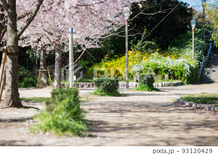 春の靱公園 93120429