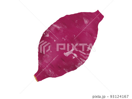 さつまいもの和風イラスト素材　主線なし 93124167