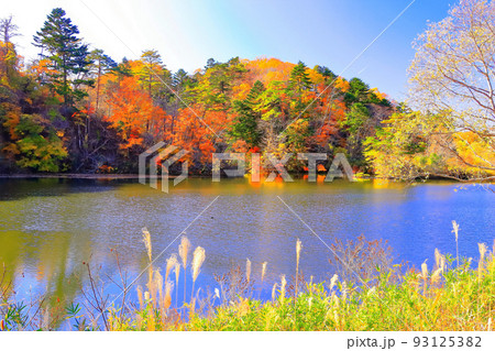 紅葉の水の森公園 93125382