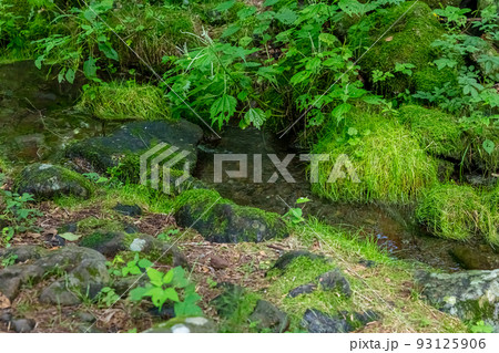 女取湧水 93125906