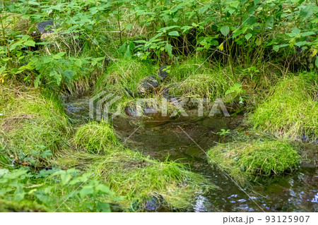 女取湧水 93125907