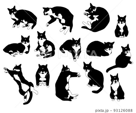 白黒猫のイラストセット ポーズ集 個性的な柄猫の手描きイラスト素材集のイラスト素材