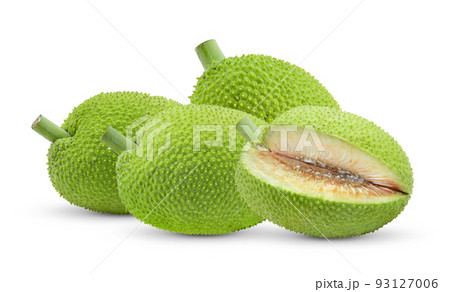 Breadfruit isolated on white Breadfruit isolated on white 93127006