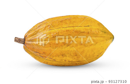 Fresh cocoa isolated on white 93127310