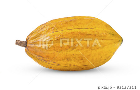 Fresh cocoa isolated on white 93127311