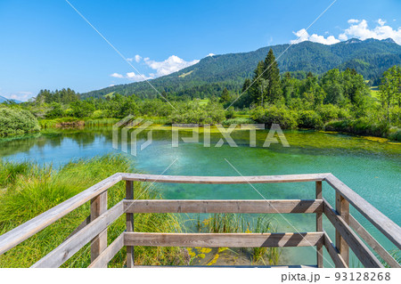 Zelenci - emerald-green lake in the mountains Zelenci - emerald-green lake in the mountains 93128268