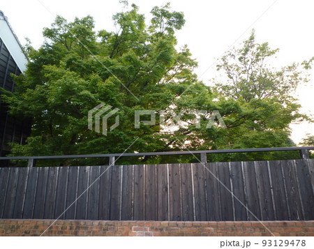 半六庭園(旧中埜半六邸庭園) 半六庭園(旧中埜半六邸庭園) 93129478