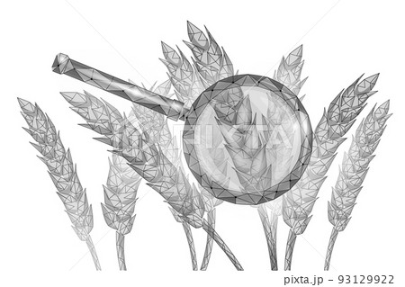 3D wheat ears grain. World food Day hunger awareness. Help charity food help global international refugees vector illustration 3D wheat ears grain. World food Day hunger awareness. Help charity food help global international refugees vector illustration 93129922
