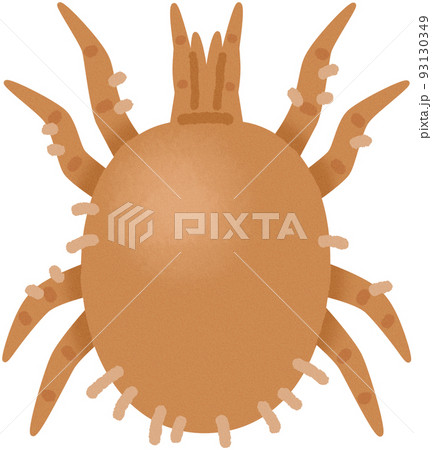 イエダニ 93130349