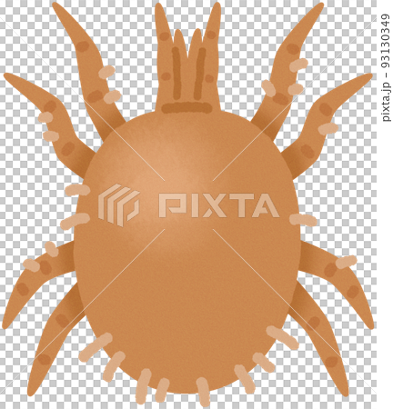 イエダニ 93130349