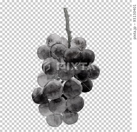 一串葡萄Pione Monotone【水墨風格水彩】白色背景透明背景PNG 93130401