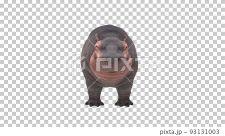 正面河馬的 3d 插圖 正面河馬的 3d 插圖 93131003