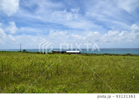 小浜島 海人公園 小浜島 海人公園 93131363