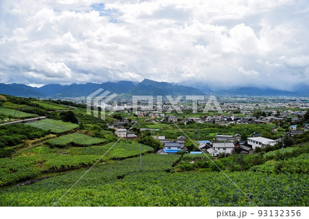 ブドウ畑を上から見下ろす山々と雲が広がる風景 ブドウ畑を上から見下ろす山々と雲が広がる風景 93132356