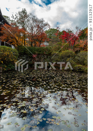 画聖雪舟ゆかりの禅寺 #宝福寺 #井山宝福寺  画聖雪舟ゆかりの禅寺 #宝福寺 #井山宝福寺  93132917