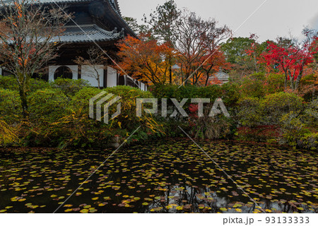 画聖雪舟ゆかりの禅寺　＃宝福寺　＃井山宝福寺　＃仏殿 93133333