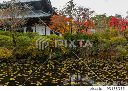 画聖雪舟ゆかりの禅寺 #宝福寺 #井山宝福寺 #仏殿 画聖雪舟ゆかりの禅寺 #宝福寺 #井山宝福寺 #仏殿 93133336