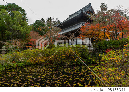 画聖雪舟ゆかりの禅寺 #宝福寺 #井山宝福寺 #仏殿 画聖雪舟ゆかりの禅寺 #宝福寺 #井山宝福寺 #仏殿 93133341