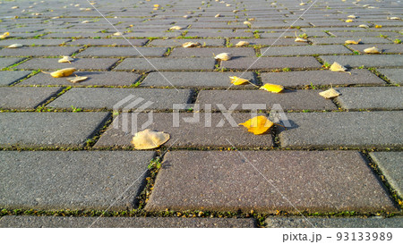 Autumn background of gray brick road with sprouted grass between it and yellow autumn leaves. Low viewing angle with prospect of removal 93133989