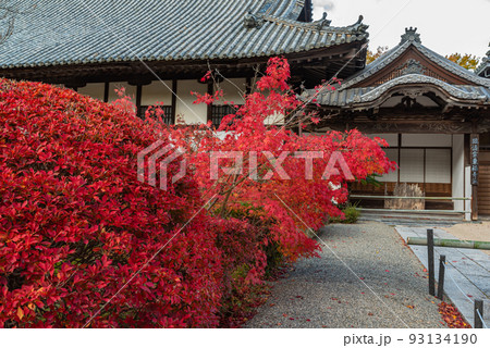 画聖雪舟ゆかりの禅寺 #宝福寺 #井山宝福寺 #方丈  画聖雪舟ゆかりの禅寺 #宝福寺 #井山宝福寺 #方丈  93134190
