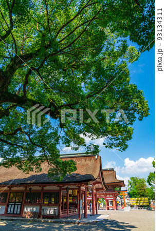 夏の津島神社、尾張津島天王祭〈愛知県津島市〉 93134311