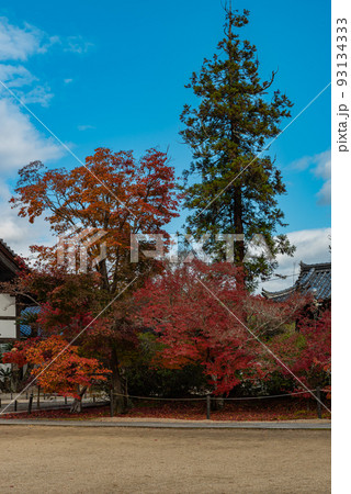 画聖雪舟ゆかりの禅寺 #宝福寺 #井山宝福寺 画聖雪舟ゆかりの禅寺 #宝福寺 #井山宝福寺 93134333