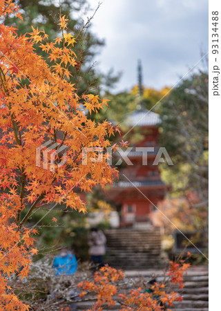画聖雪舟ゆかりの禅寺 #宝福寺 #井山宝福寺 #三重塔 画聖雪舟ゆかりの禅寺 #宝福寺 #井山宝福寺 #三重塔 93134488