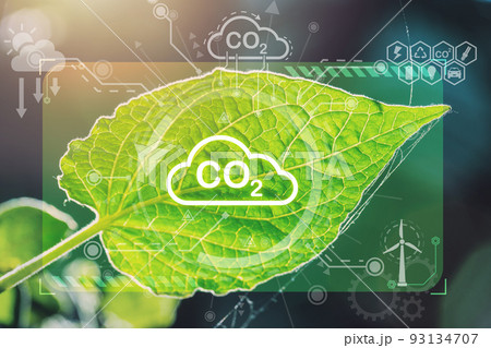 Green leaf overlay photosynthesis Co2 plant nature Eco system or Oxygen Cycle Process in the sunlight. 93134707