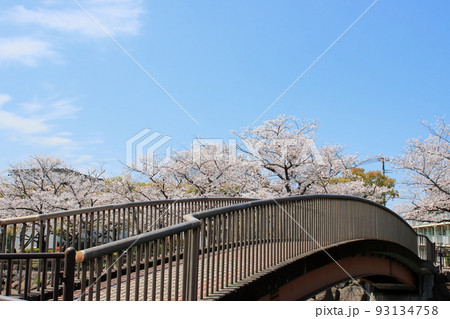 春の公園 93134758