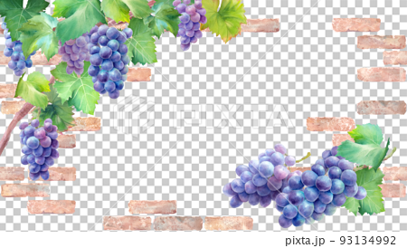 ナチュラルなレンガの壁を背景にした紫葡萄の水彩イラスト。秋の装飾フレーム。背景 93134992