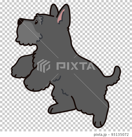 用主線跳躍的簡單可愛的蘇格蘭梗的插圖 93135072