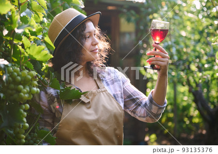 Portrait of a multiethnic, female winemaker with a glass of homemade red wine in the rows of vineyards in the early morning at dawn. Viticulture. Small business. Wine industry. Growing organic grapes. 93135376