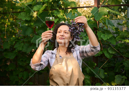 Pleasant curly-haired multiethnic woman vintner amateur, in beige apron, successful viticulturist, vine grower, eco farm owner, entrepreneur examining a bunch of grapes and a glass of wine in the sun. Pleasant curly-haired multiethnic woman vintner amateur, in beige apron, successful viticulturist, vine grower, eco farm owner, entrepreneur examining a bunch of grapes and a glass of wine in the sun. 93135377