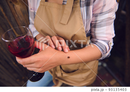 Cropped image of a young woman in checkered shirt and beige apron, with a glass of homemade wine in nature, looking at a ladybug on her arm. Close-up. 93135403