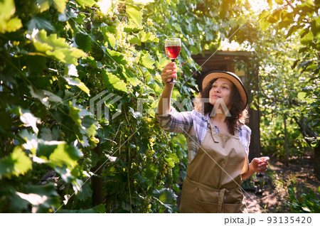 Beautiful Hispanic young woman in straw hat and apron, successful winemaker, viticulturist holding glass of wine and inspecting the homemade dry red wine on the rays of sun, standing in vineyards rows 93135420