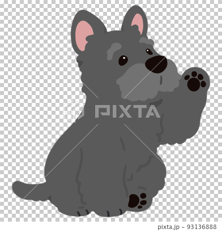 Illustration of a simple and cute Scottish Terrier waving No main line Illustration of a simple and cute Scottish Terrier waving No main line 93136888