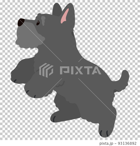 一隻簡單可愛的蘇格蘭梗跳躍的插圖沒有主線 93136892