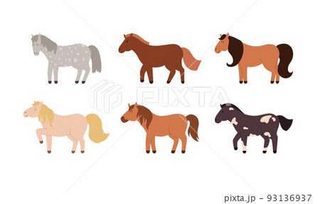 Cute horses set, different breed and color ponies set, flat vector illustration isolated on white background. 93136937