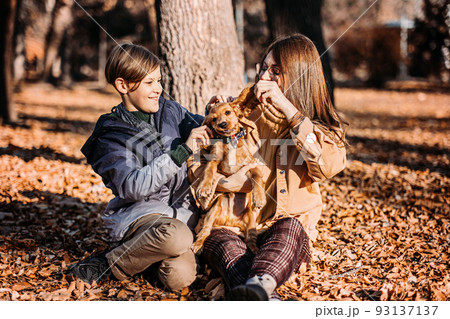 Happy family mother and teen boy son having fun with cocker spaniel puppy in autumn park 93137137