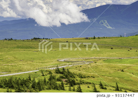 Winding Country Road 93137447